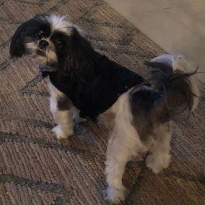 Meet your Posher, Leia